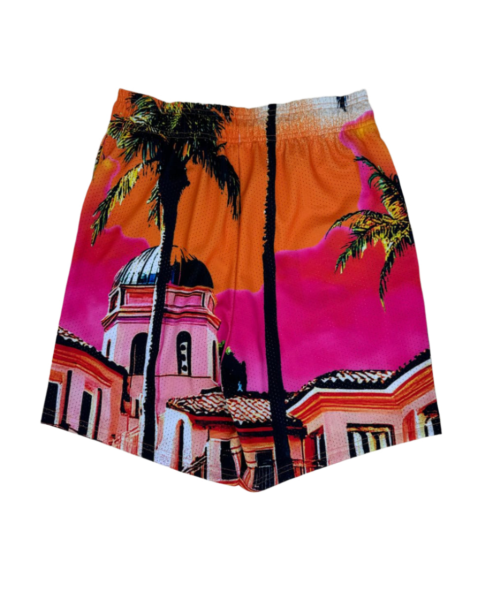 Dry Rot "Stash House" Shorts - Pink
