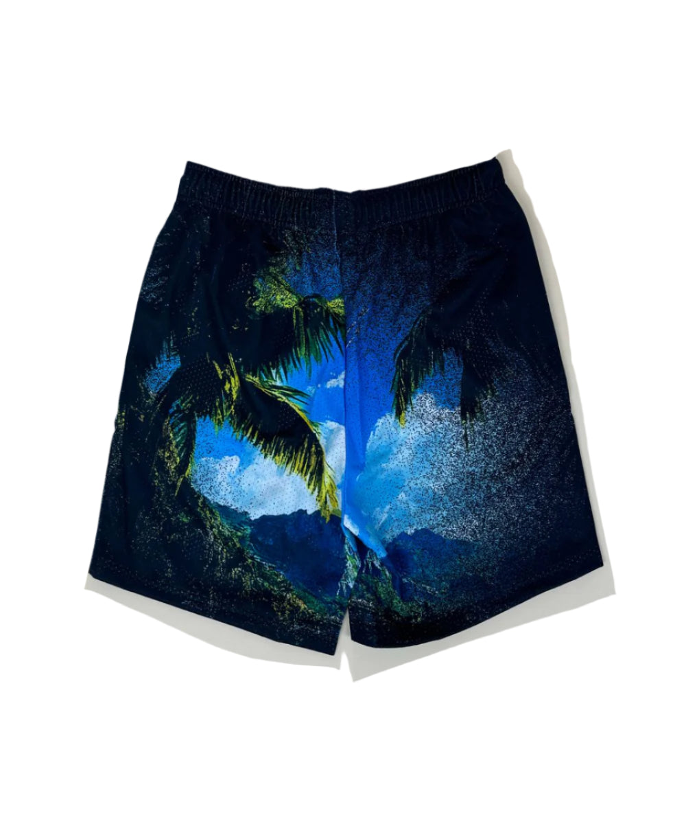 Dry Rot "Views From" Shorts - Printed