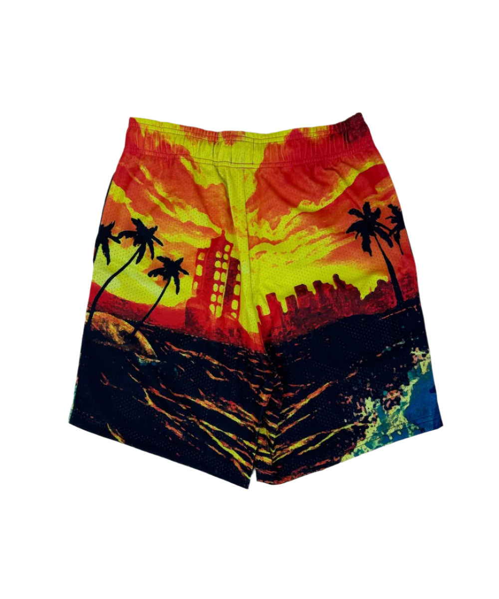 Dry Rot "Fairy Tail Mesh" Short - Graphic Print