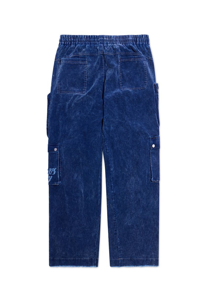 Diet Starts Dsm Cargo Pants - Blue