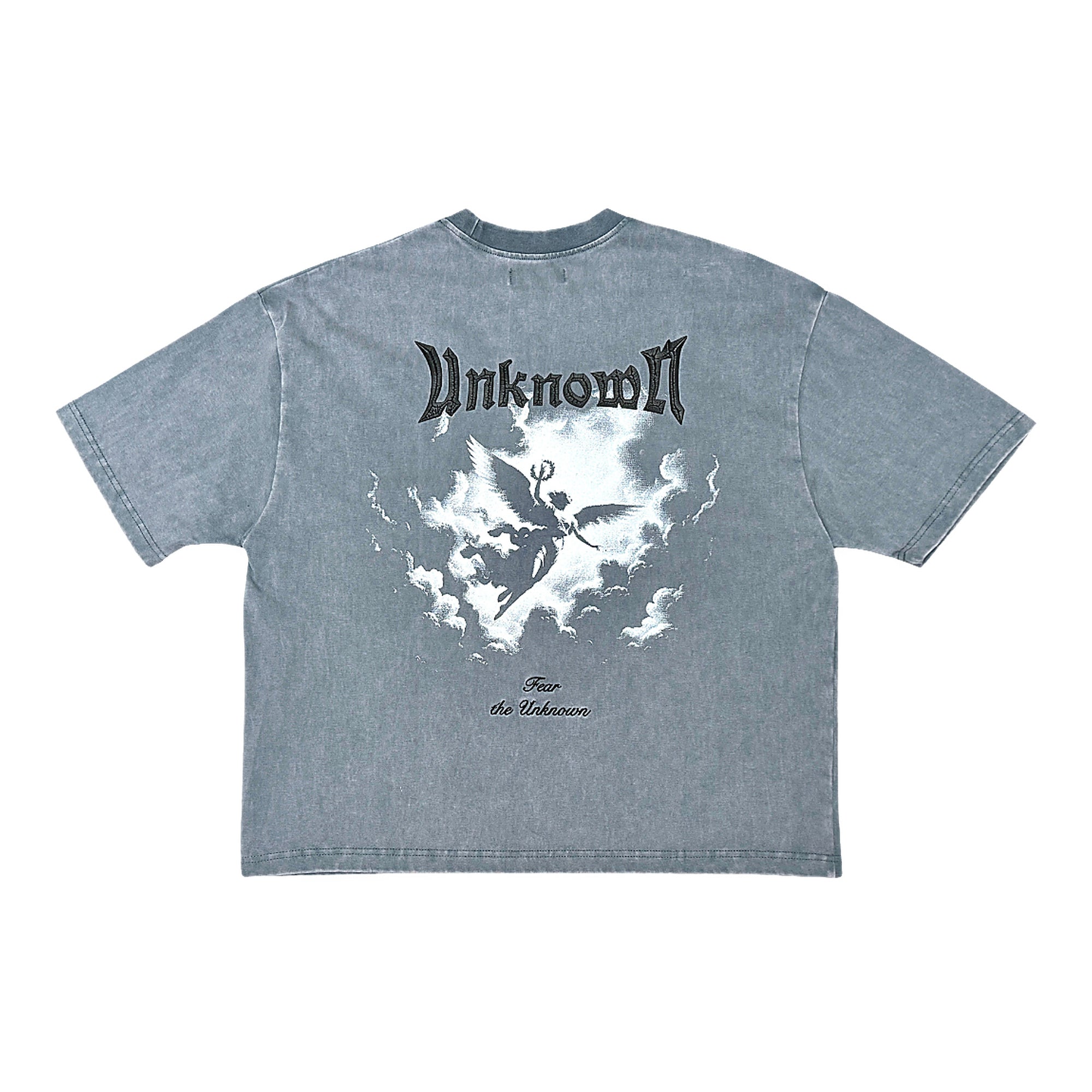 Unknown Angel T-Shirt - Boxy Fit