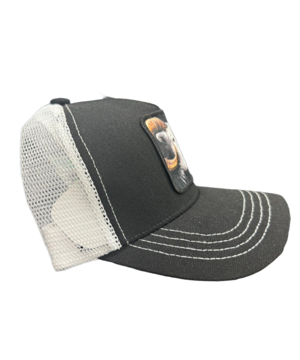 Gold Star Goat Trucker Hat - Black