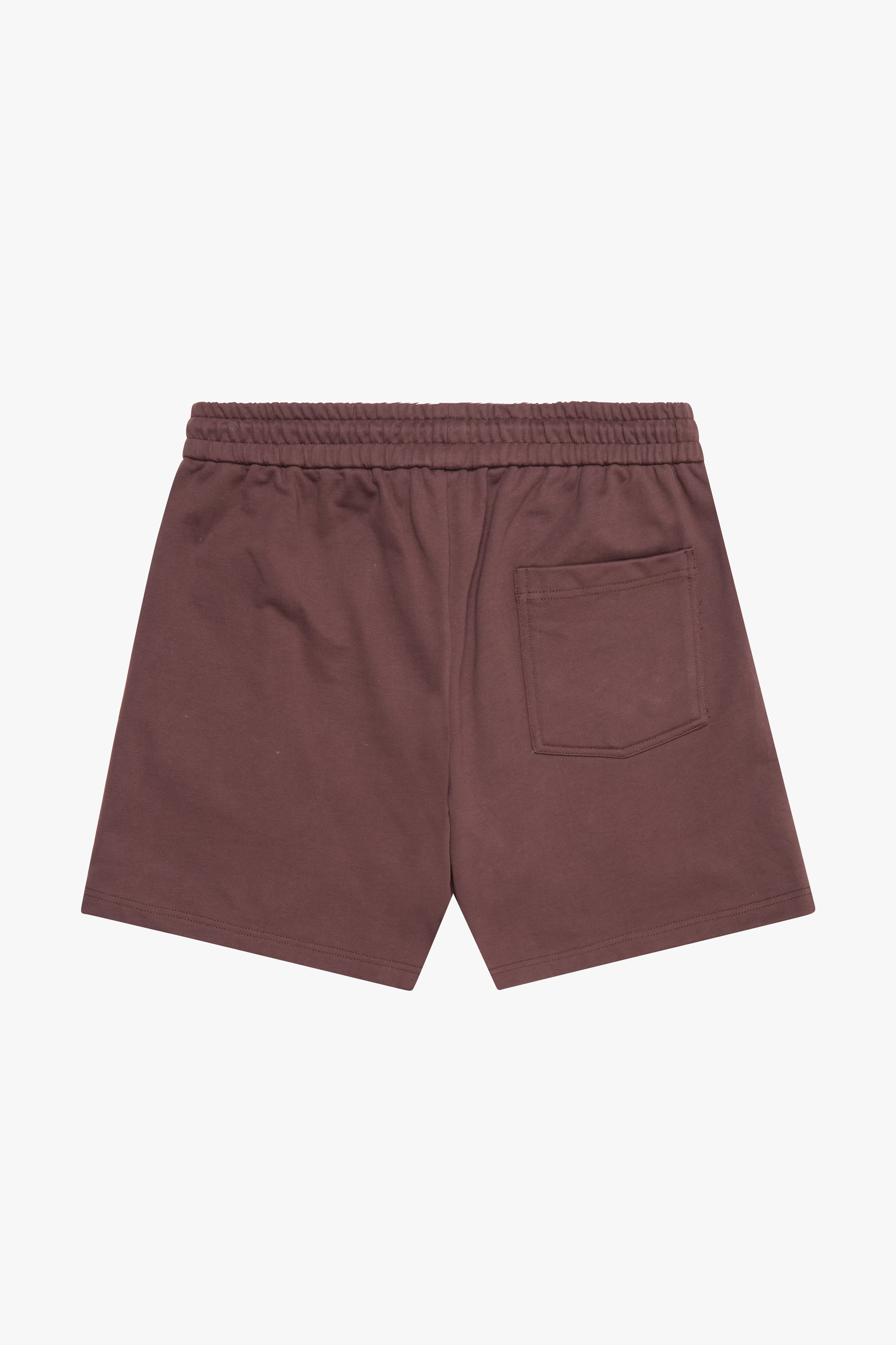 6Th Nbrhd Men's Shorts - Brown