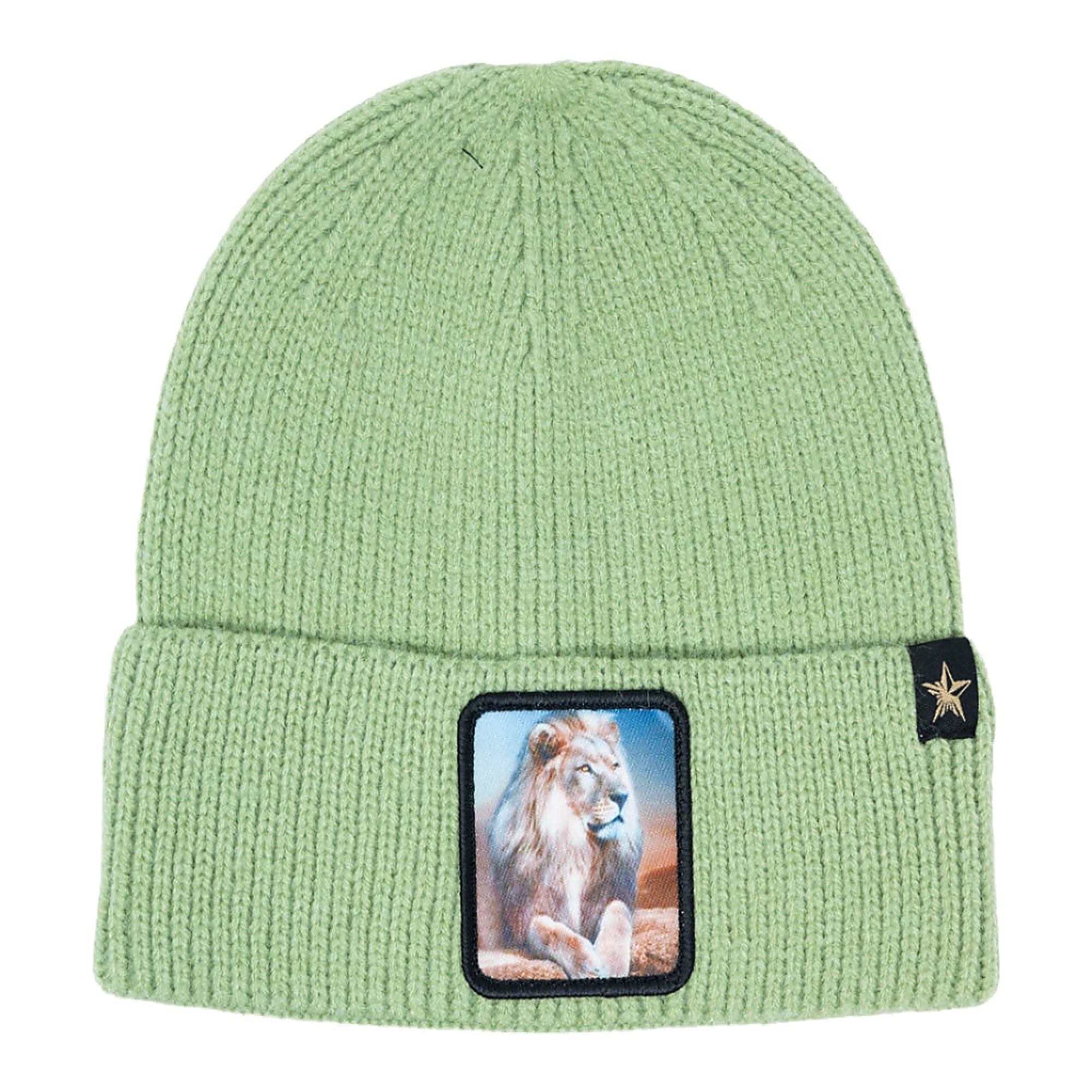 Gold Star Lion Beanie - Green