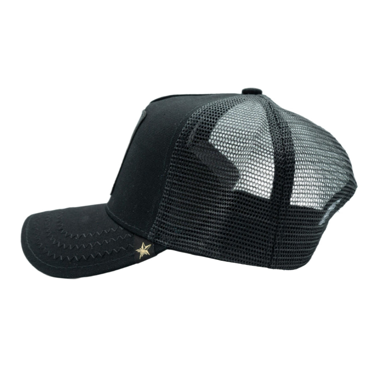 Gold Star Racoon Trucker Hat - Black