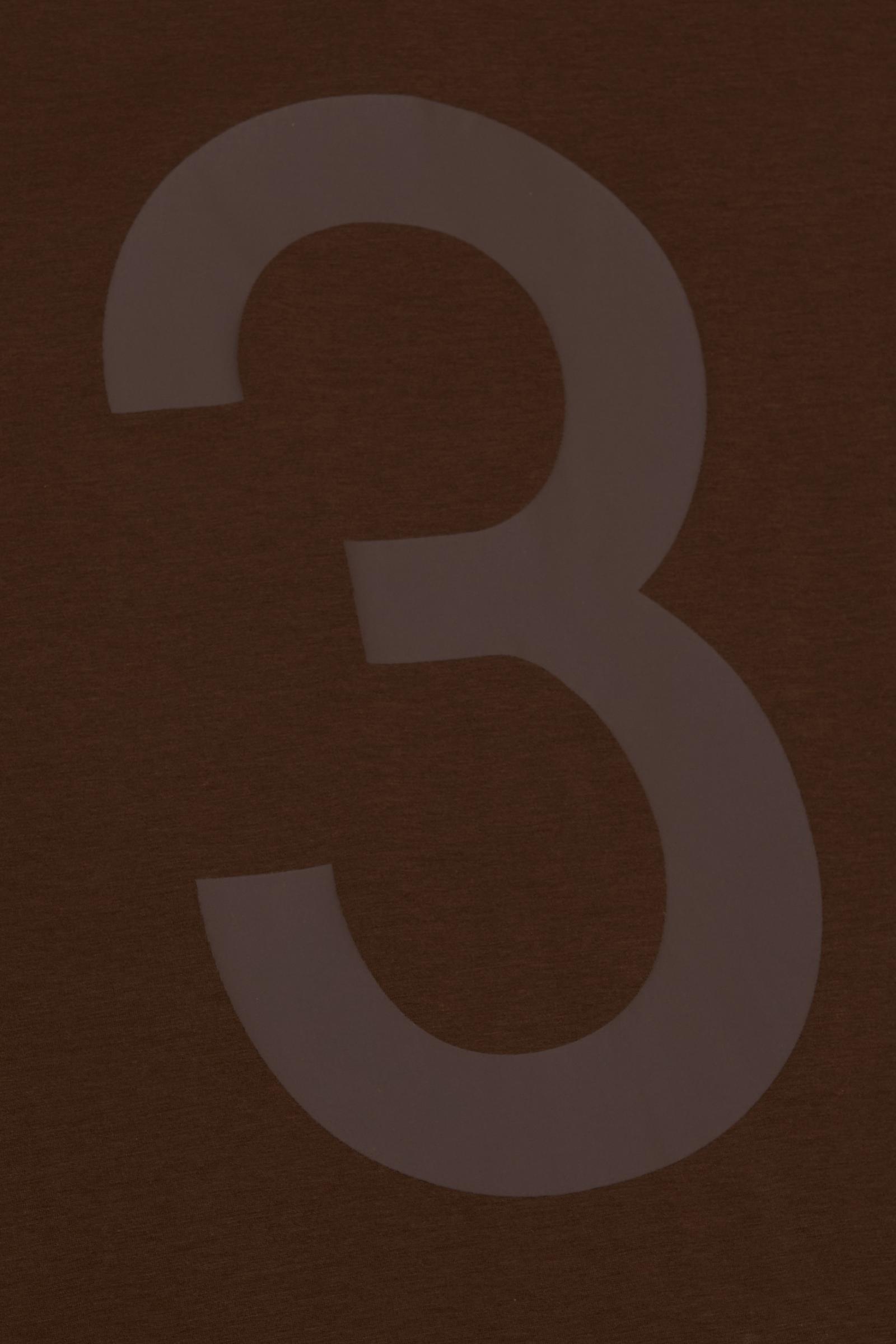 Silnt Chptrs "Legacy" Men's T-Shirt - Brown