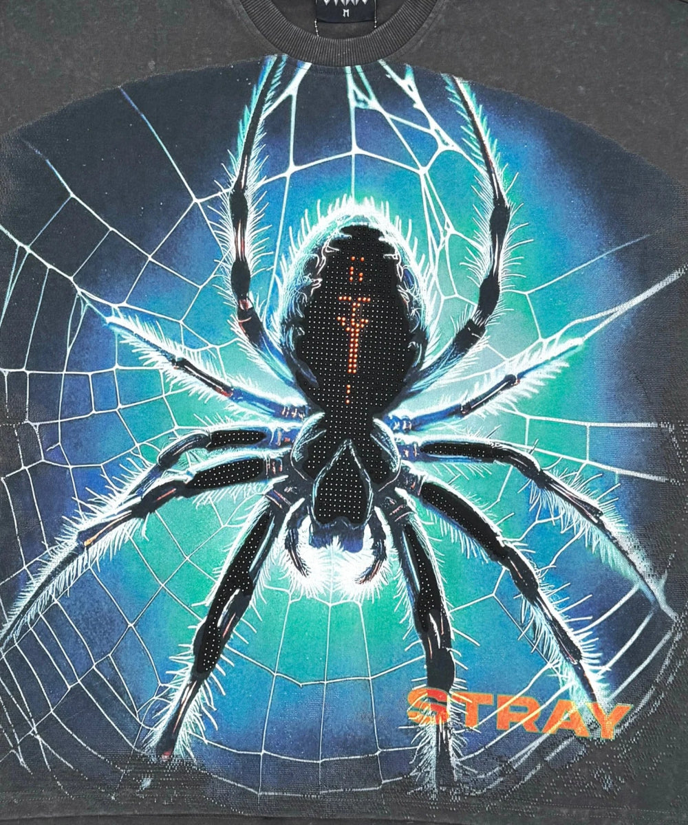 Stray Spider Web Tee