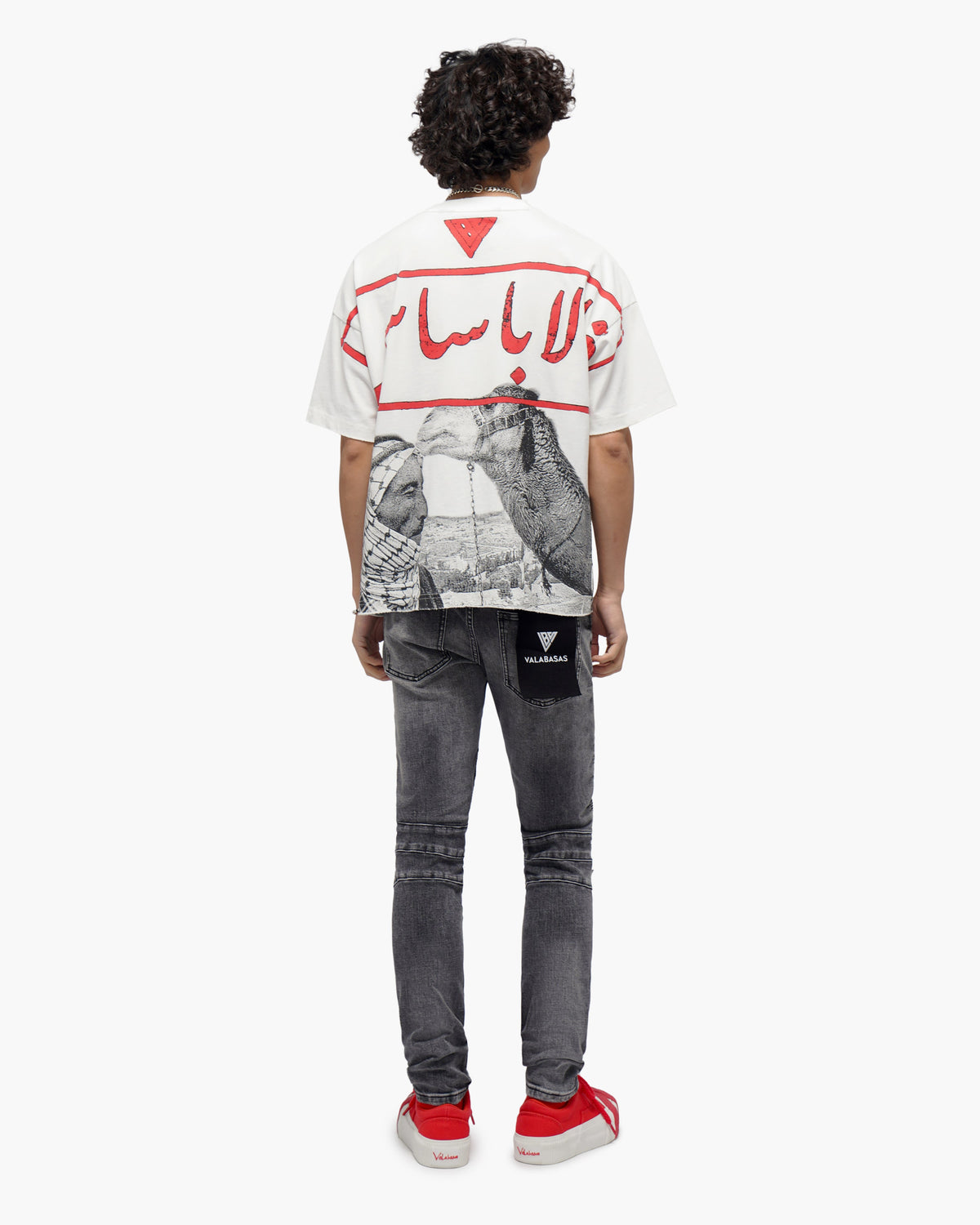 Mr.Biker Grey Skinny Jeans