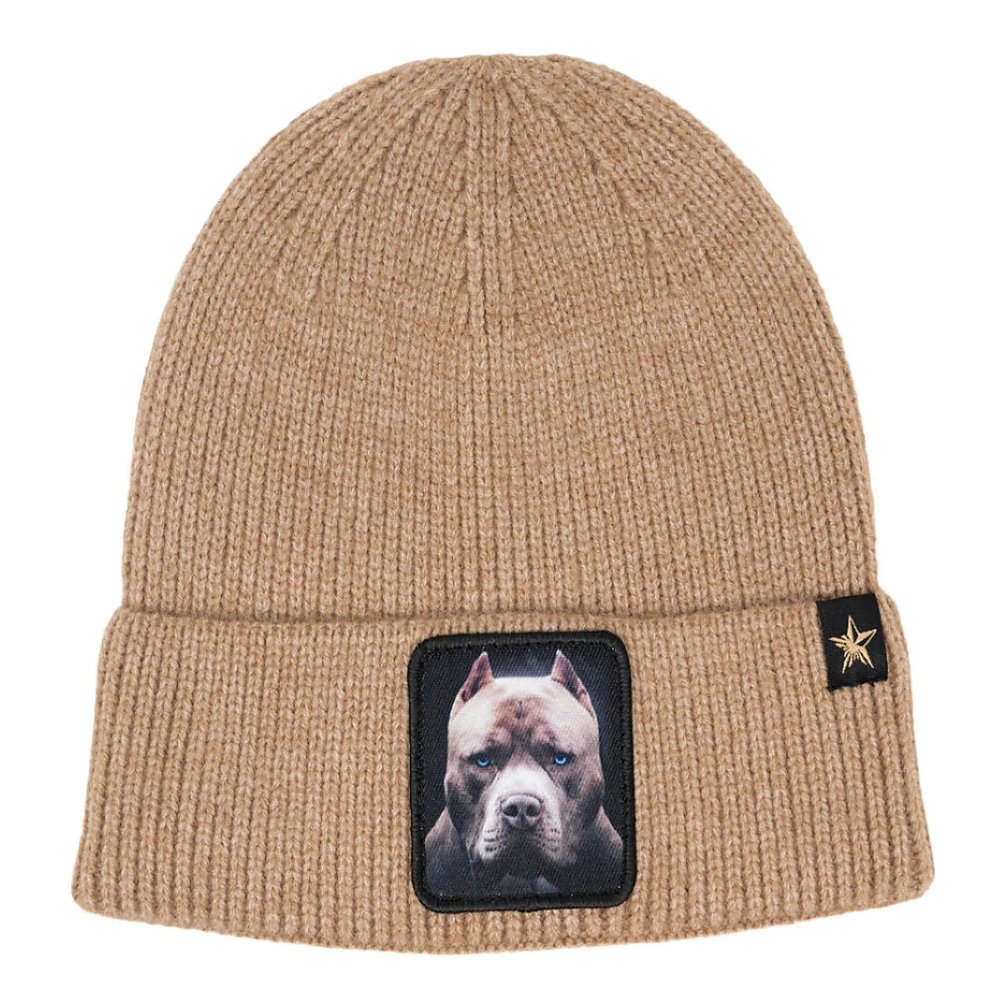 Gold Star Dog Beanie - Beige