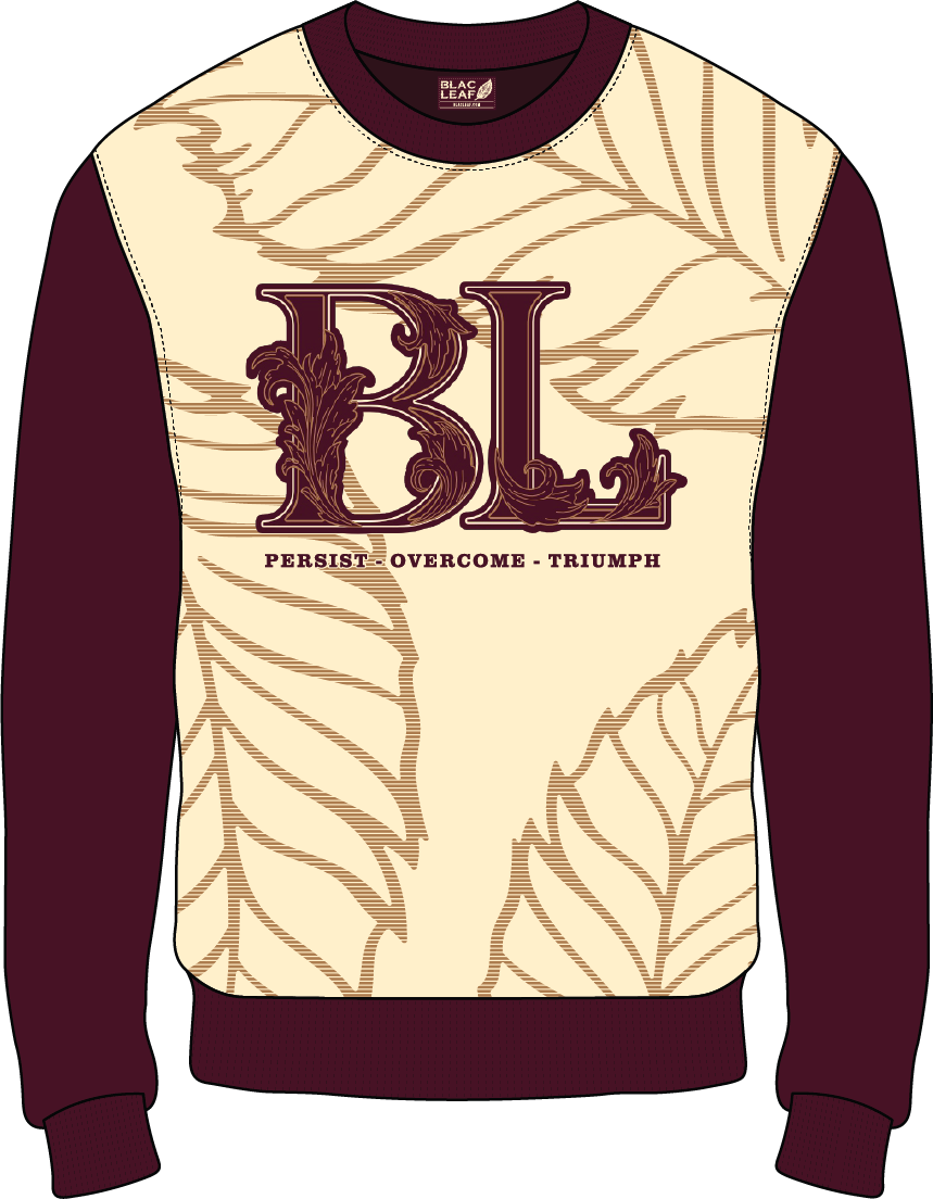 BLH24-109-BT P.O.T CREWNECK SWEATER BURG