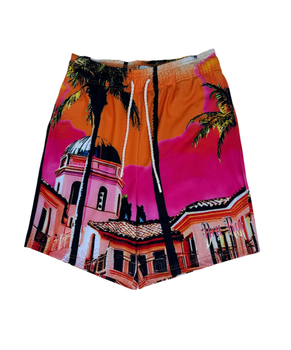 DRY ROT STASH HOUSE MESH SHORT