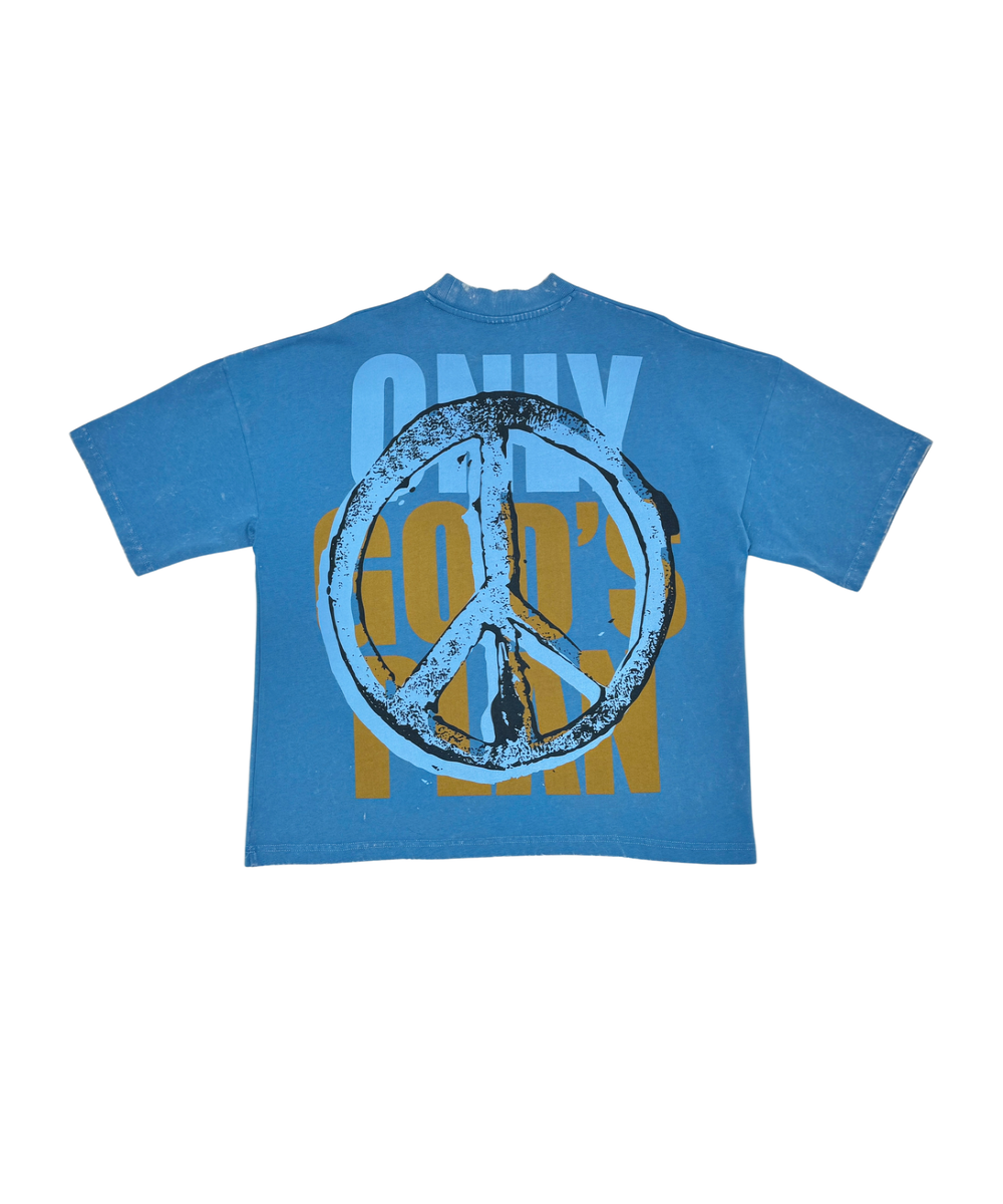 STRAY WIDE & CROP FIT TEE BLUE