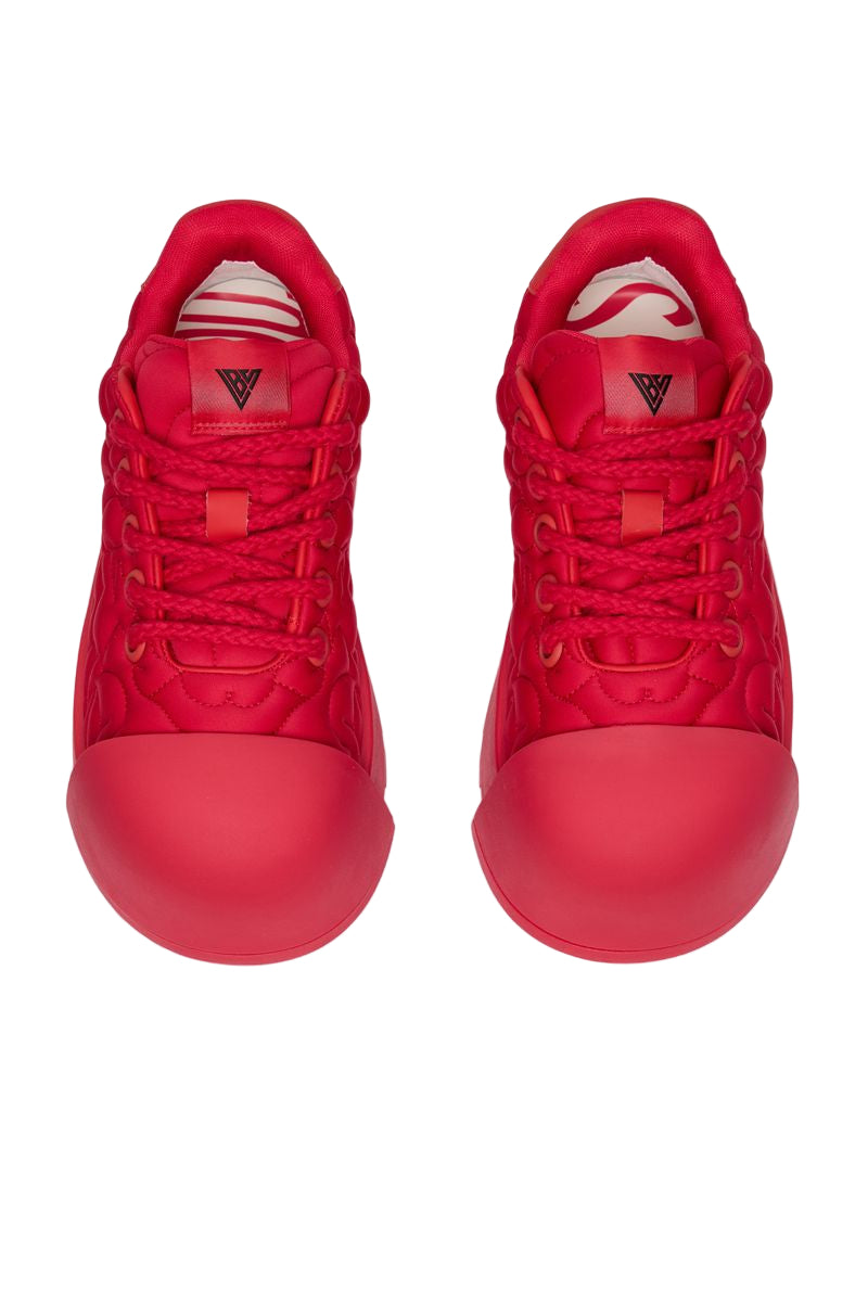 The Goliath 300 Shoes