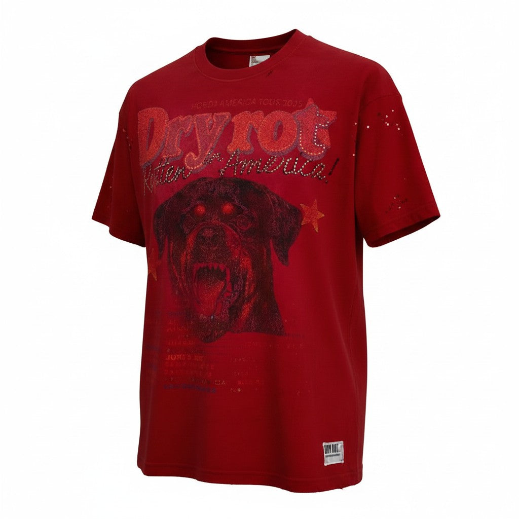Dry Rot Tour Tee - Distressed Graphic