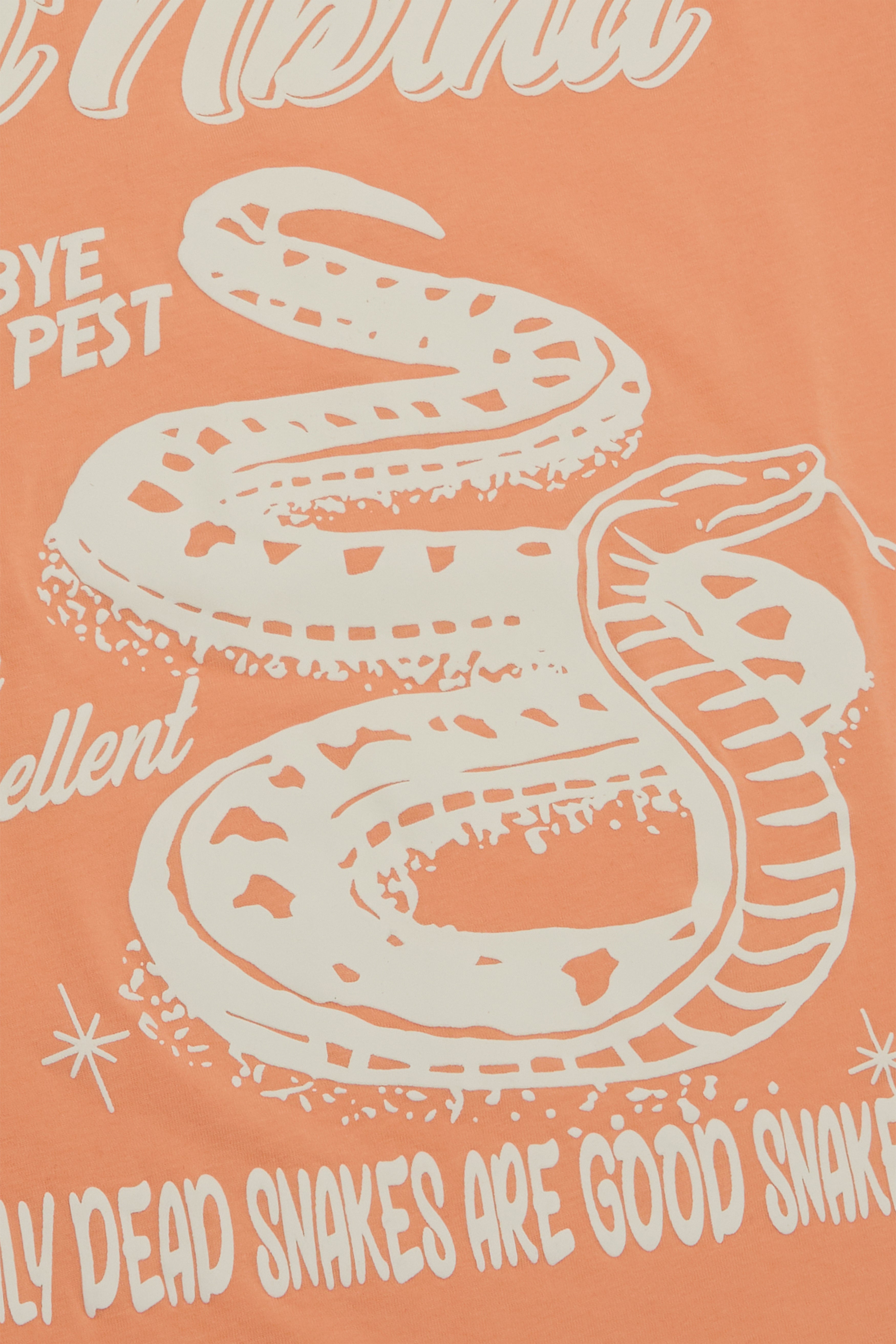 6Th Nbrhd Goodbye Pest Men's T-Shirt - Orange