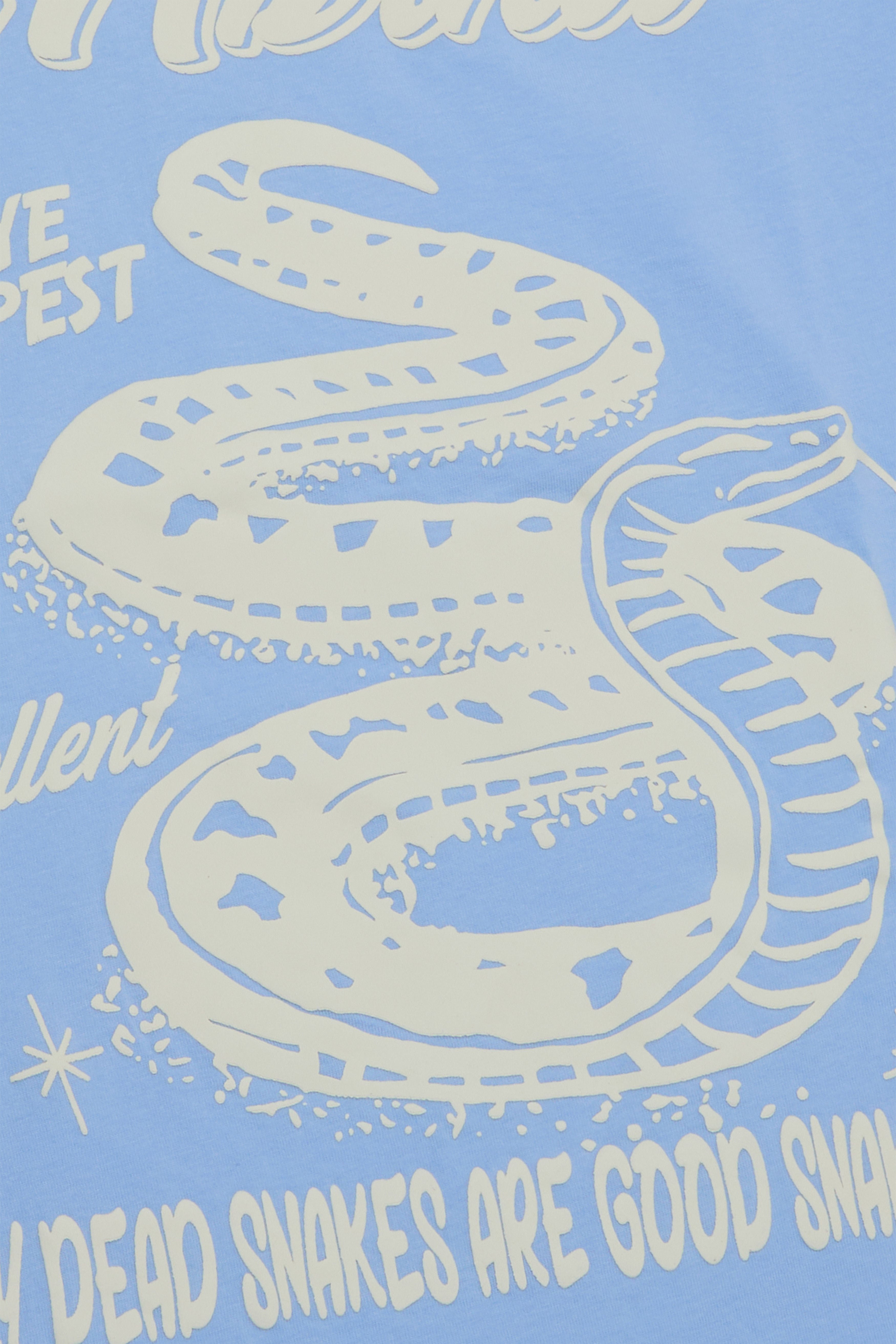 6Th Nbrhd Goodbye Pest T-Shirt - Blue