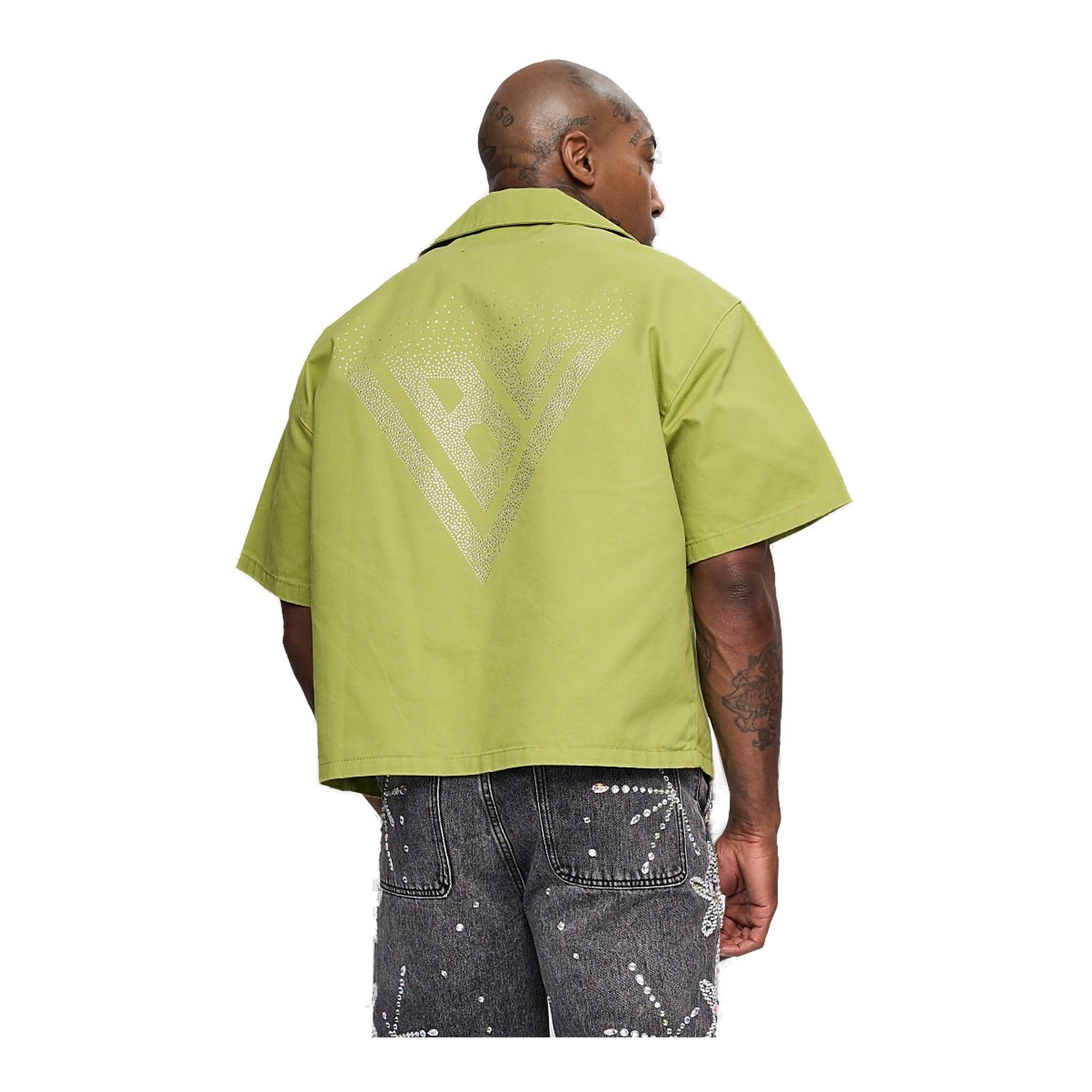 Valabasas Shine Button Down Men's Shirt - Green