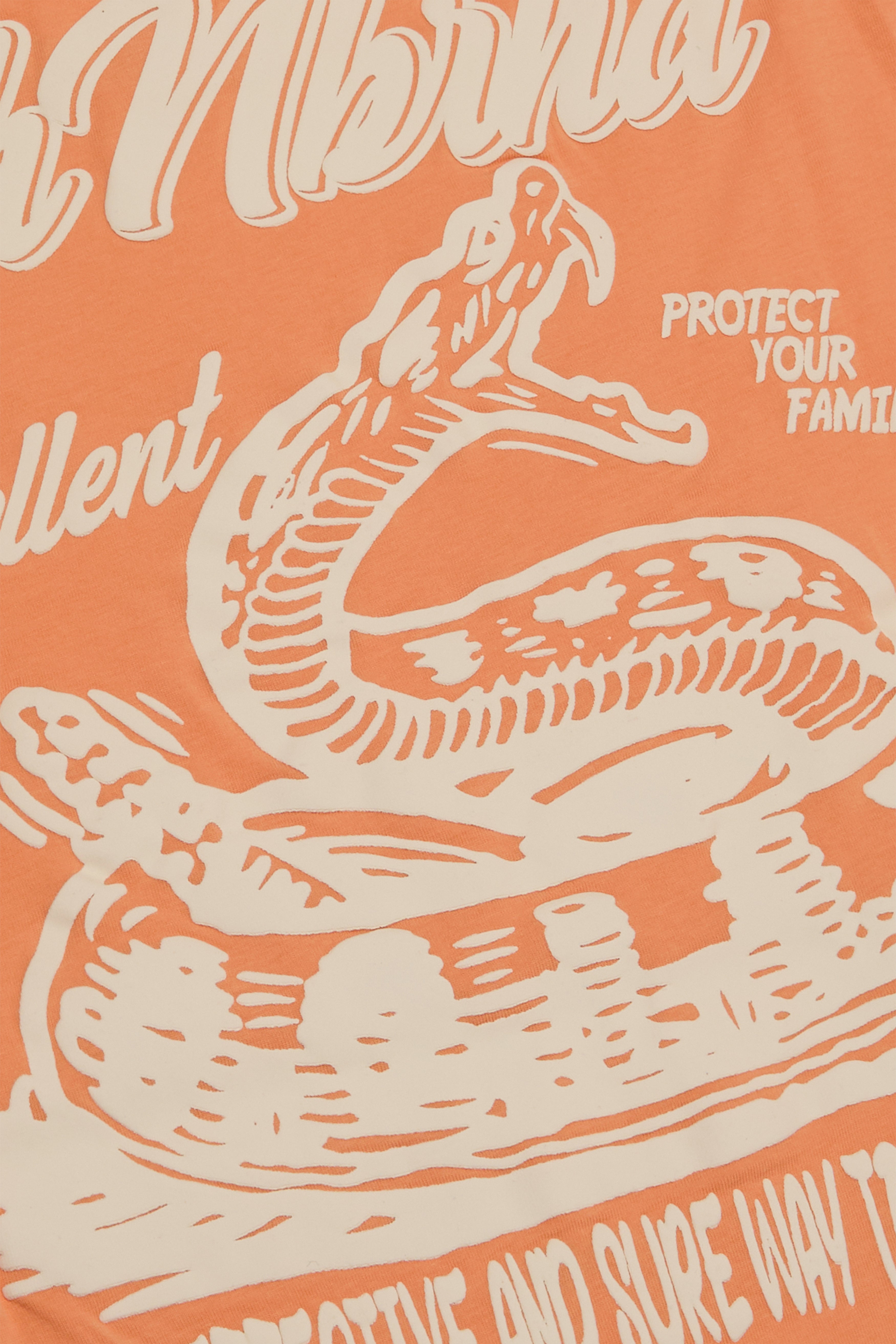 6Th Nbrhd Snake Repellent T-Shirt - Orange