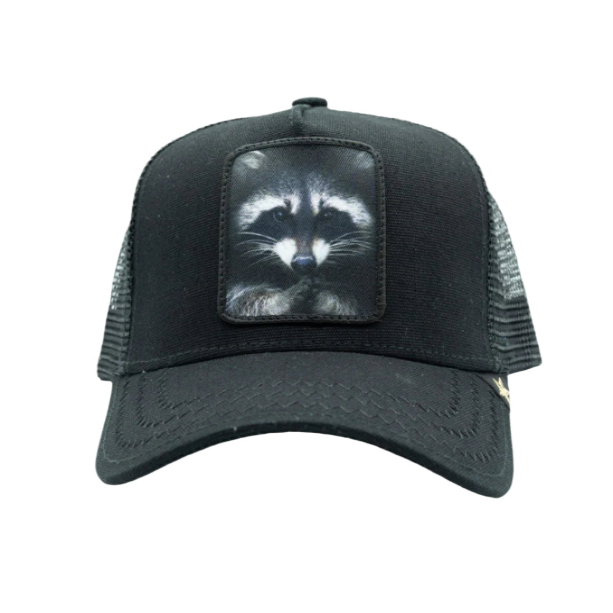 Gold Star Racoon Trucker Hat - Black