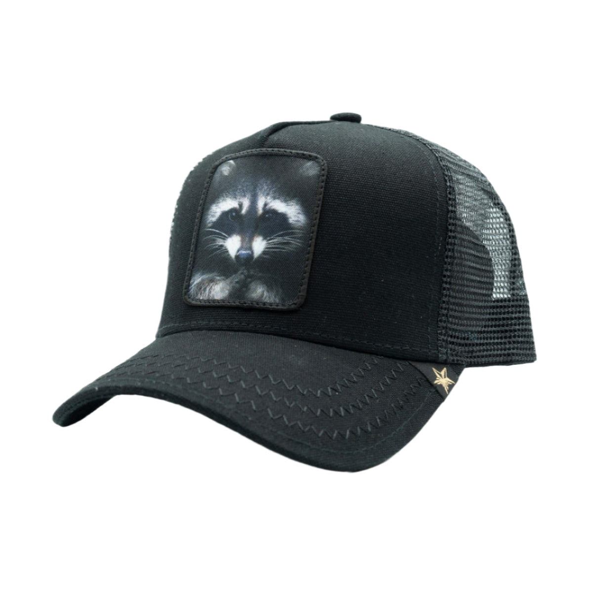 Gold Star Racoon Trucker Hat - Black