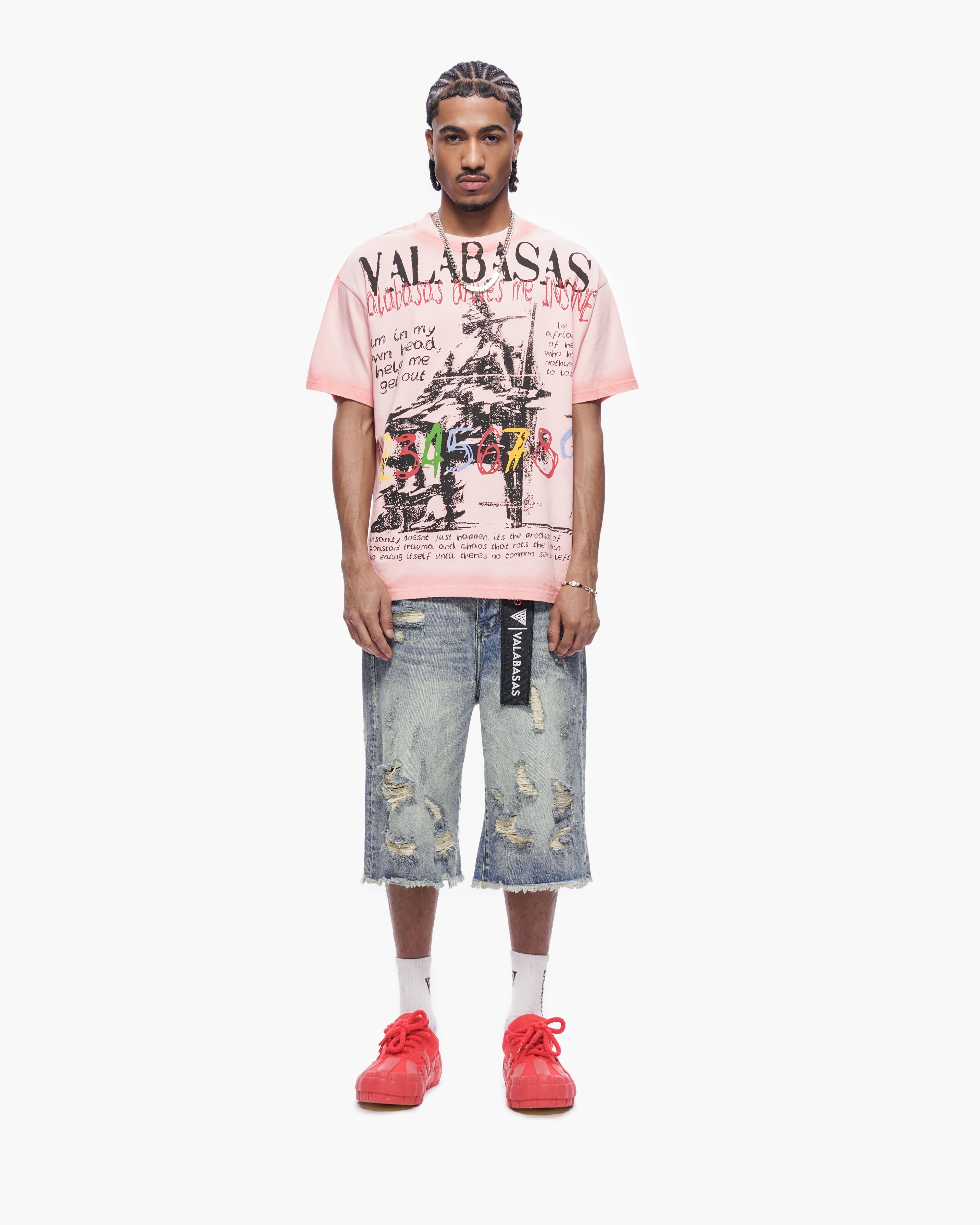 Valabasas Frayed Denim Shorts - Distressed
