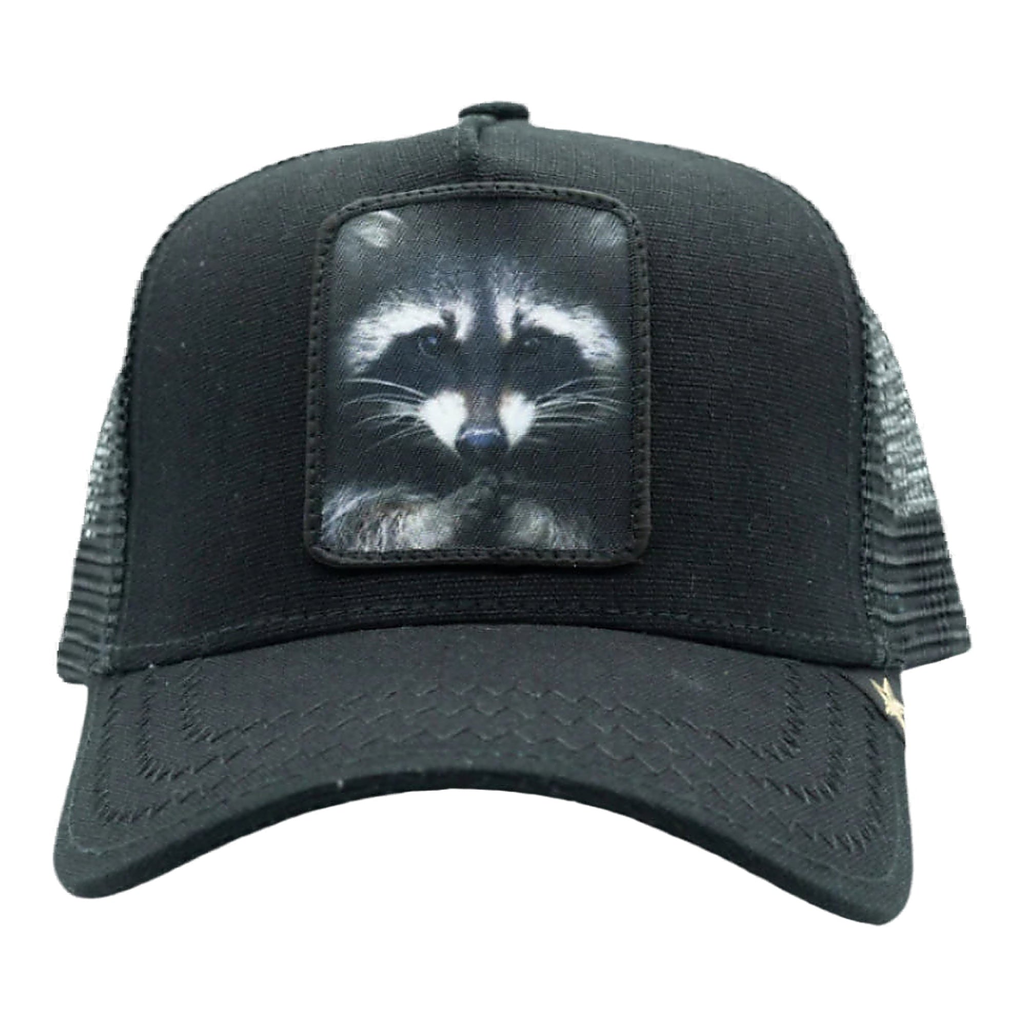 Gold Star Racoon Trucker Hat - Black