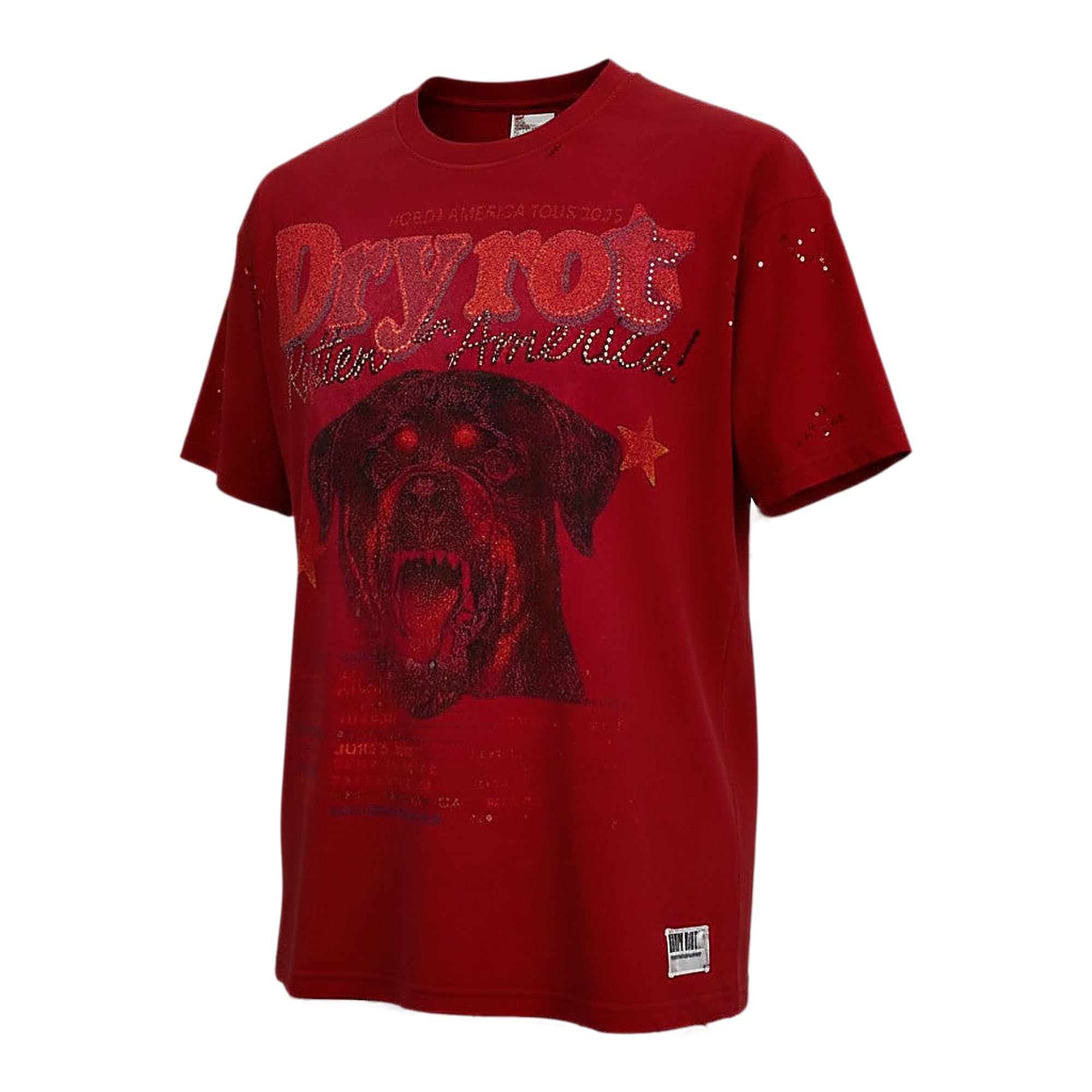 Dry Rot Tour Tee - Distressed Graphic