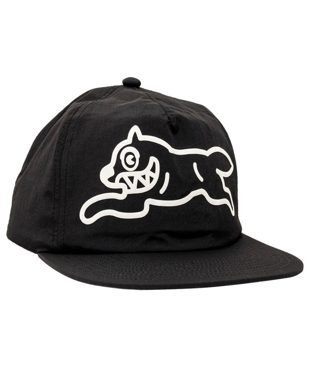 POPSICLE SNAPBACK HAT